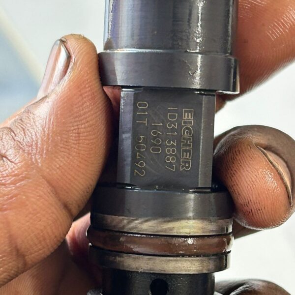 Eicher Injector Repair - Image 3